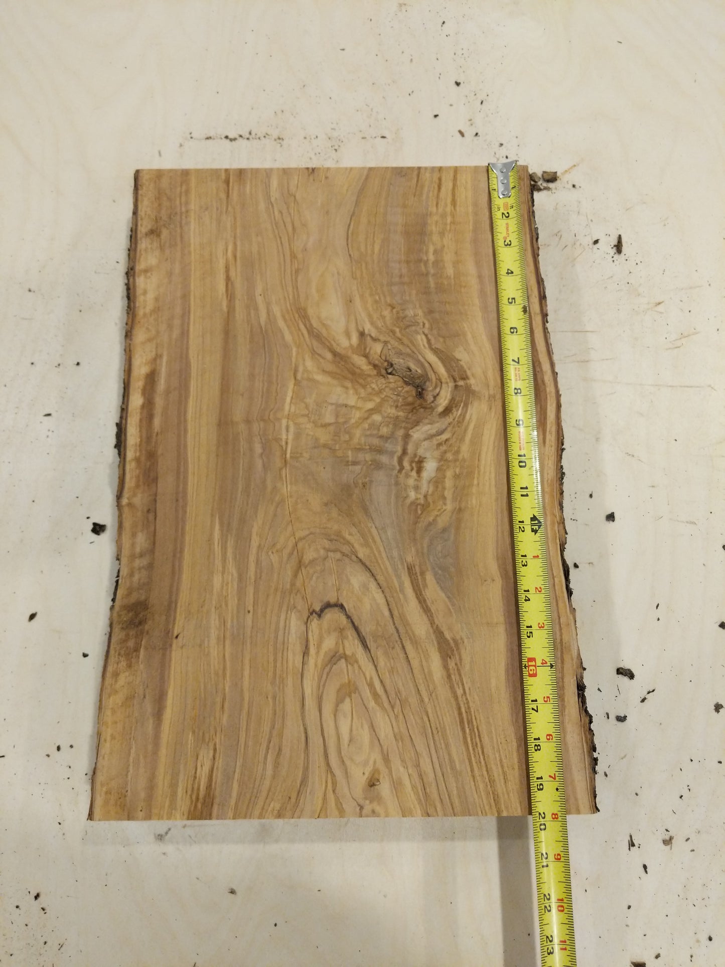 Italian Olive Wood Live Edge Mini Slab