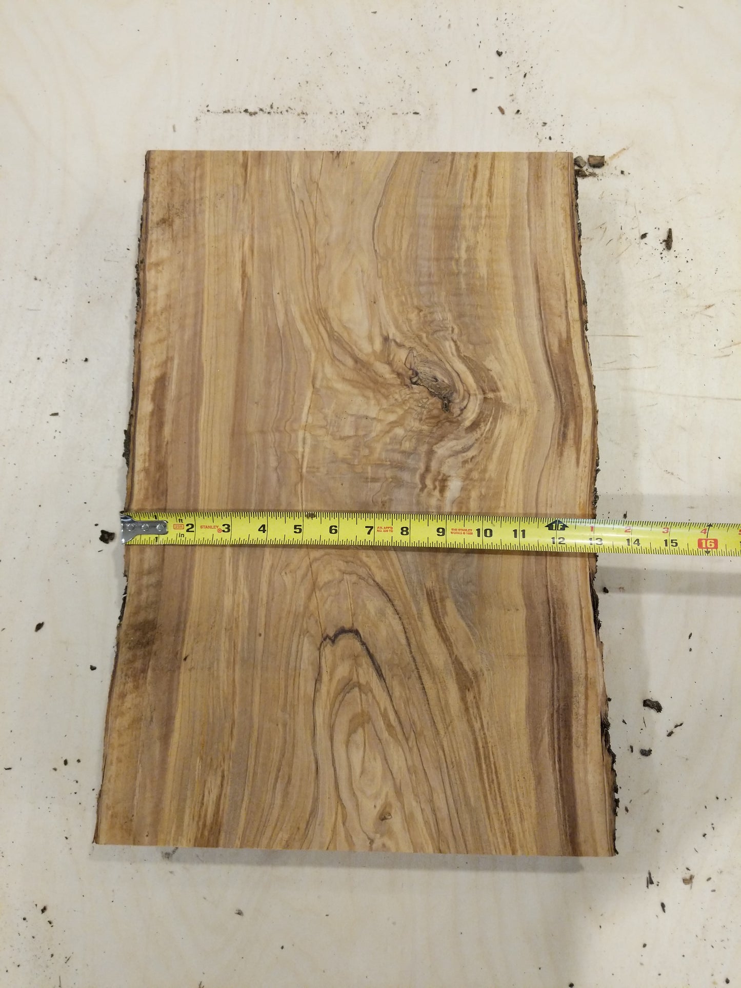 Italian Olive Wood Live Edge Mini Slab