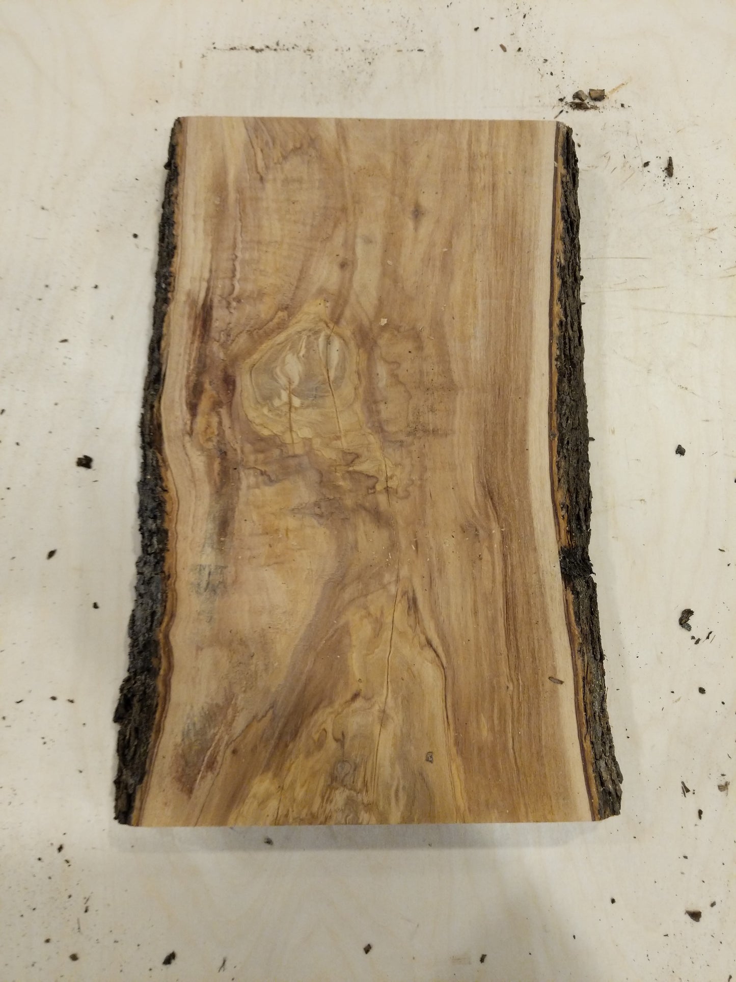 Italian Olive Wood Live Edge Mini Slab