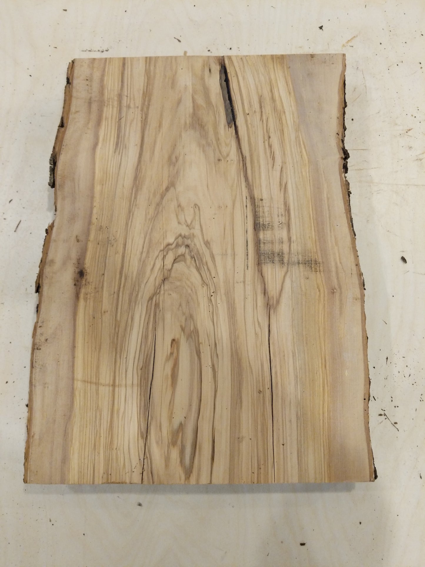 Italian Olive Wood Live Edge Mini Slab