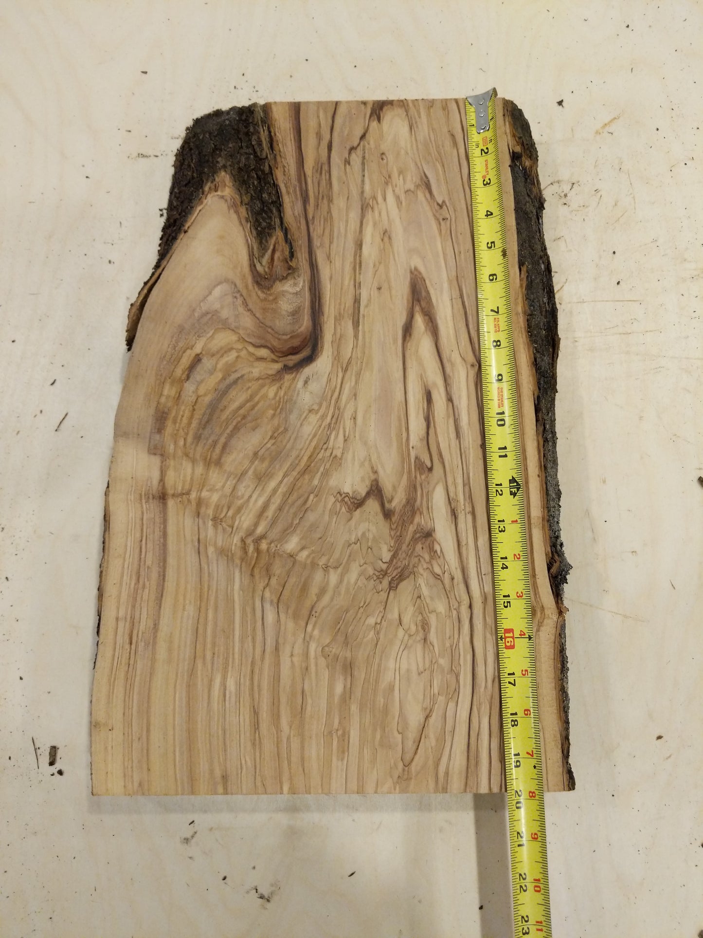 Italian Olive Wood Live Edge Mini Slab