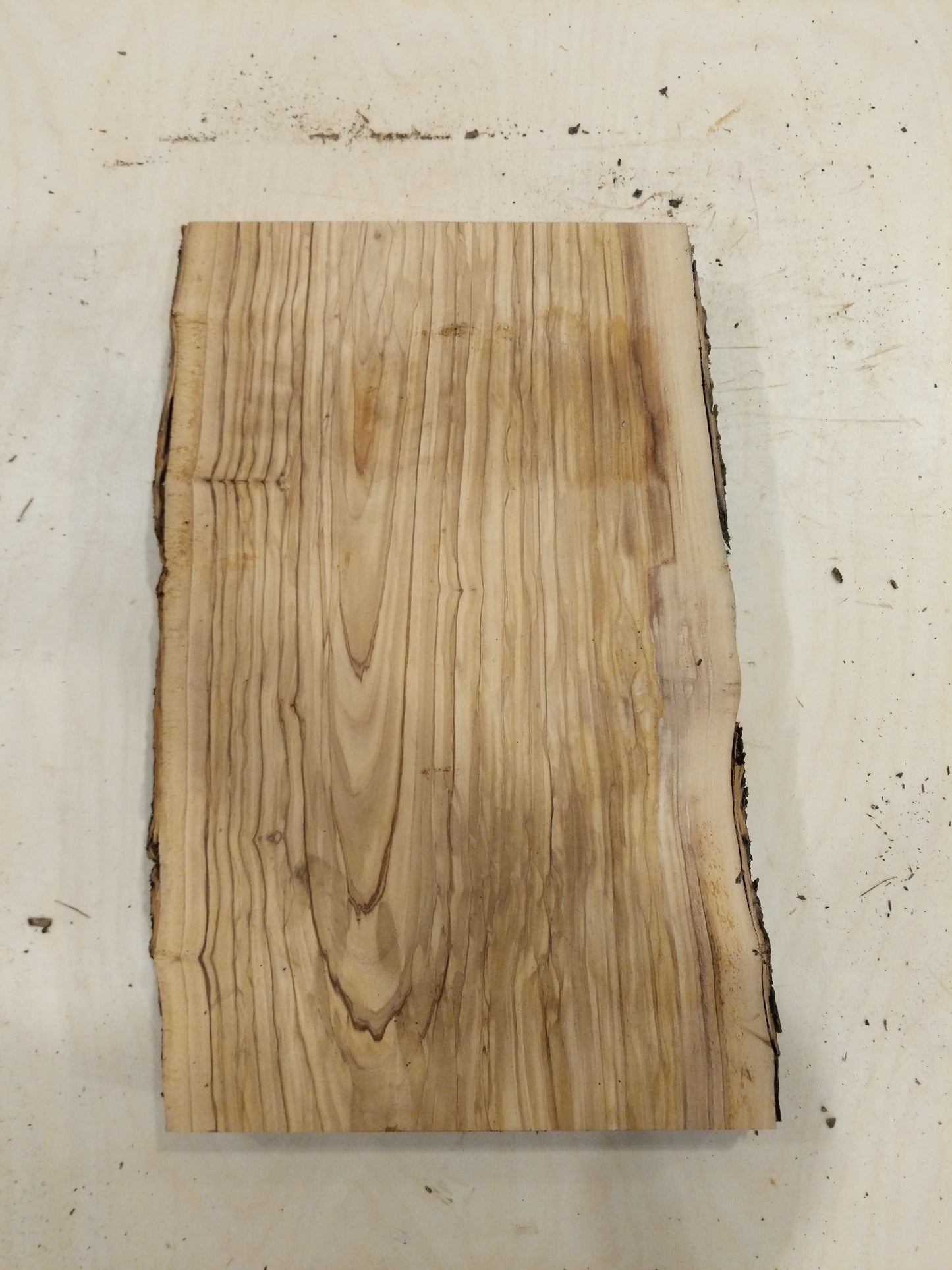 Italian Olive Wood Live Edge Mini Slab