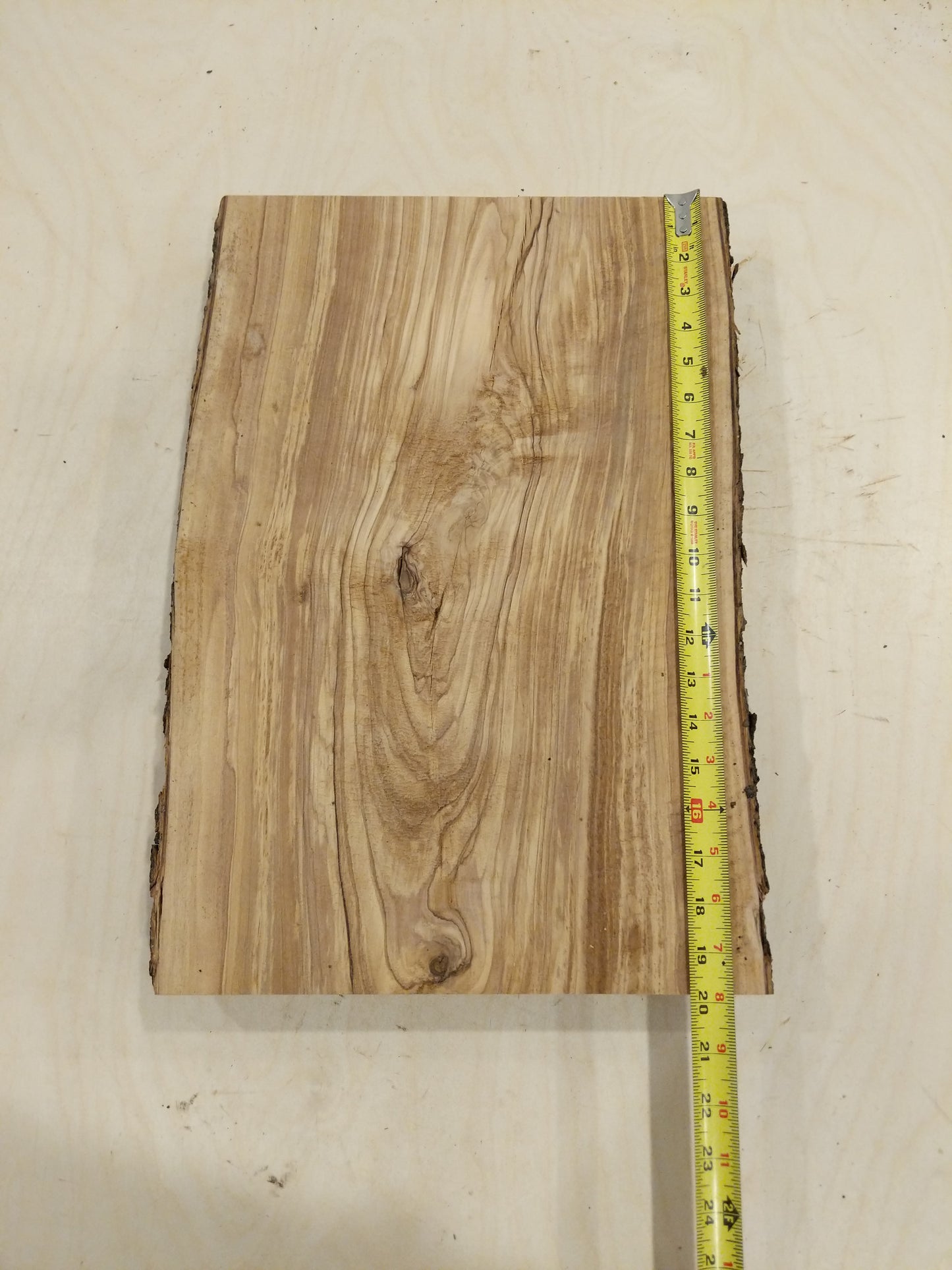 Italian Olive Wood Live Edge Mini Slab