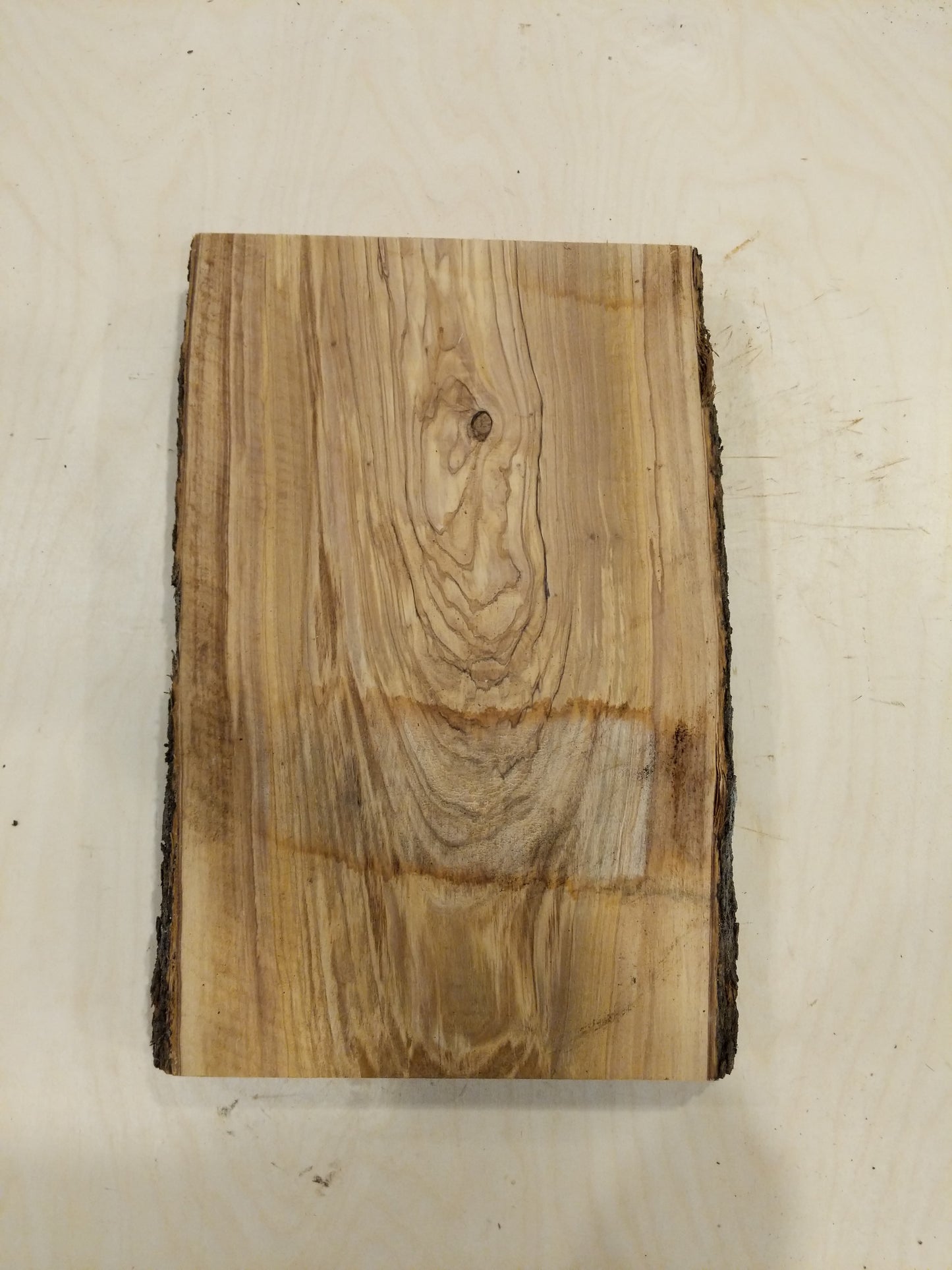 Italian Olive Wood Live Edge Mini Slab